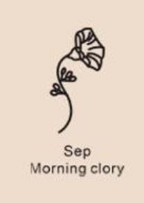 December Birthday Flower Necklace Name Chain