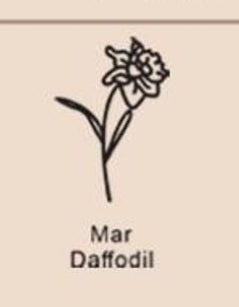 December Birthday Flower Necklace Name Chain