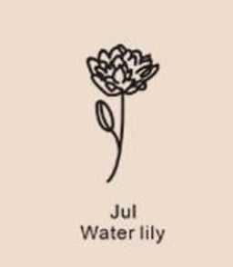 December Birthday Flower Necklace Name Chain